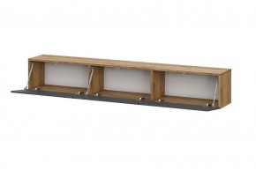 БАЙКАЛ Тумба (Графит/Дуб золотой) в Губахе - gubaha.ok-mebel.com | фото 2