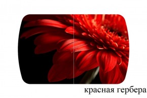 БОСТОН - 3 Стол раздвижной 1100/1420 опоры Триумф в Губахе - gubaha.ok-mebel.com | фото 18