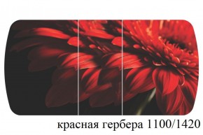 БОСТОН - 3 Стол раздвижной 1100/1420 опоры Триумф в Губахе - gubaha.ok-mebel.com | фото 19
