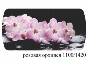 БОСТОН - 3 Стол раздвижной 1100/1420 опоры Триумф в Губахе - gubaha.ok-mebel.com | фото 34