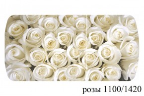 БОСТОН - 3 Стол раздвижной 1100/1420 опоры Триумф в Губахе - gubaha.ok-mebel.com | фото 37