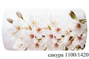 БОСТОН - 3 Стол раздвижной 1100/1420 опоры Триумф в Губахе - gubaha.ok-mebel.com | фото 40