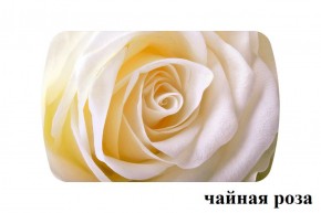 БОСТОН - 3 Стол раздвижной 1100/1420 опоры Триумф в Губахе - gubaha.ok-mebel.com | фото 47