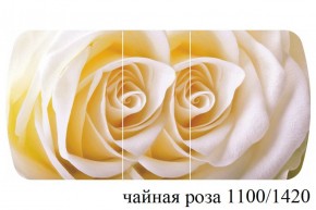 БОСТОН - 3 Стол раздвижной 1100/1420 опоры Триумф в Губахе - gubaha.ok-mebel.com | фото 48