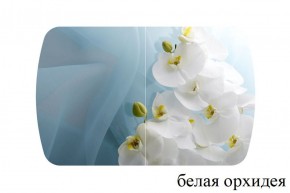 БОСТОН - 3 Стол раздвижной 1100/1420 опоры Триумф в Губахе - gubaha.ok-mebel.com | фото 8