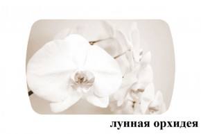 БОСТОН - 3 Стол раздвижной Лунная орхидея 1100/1420 опоры Триумф в Губахе - gubaha.ok-mebel.com | фото 2