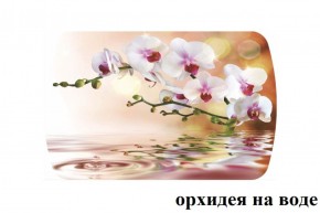 БОСТОН - 3 Стол раздвижной Орхидея на воде 1100/1420 опоры Триумф в Губахе - gubaha.ok-mebel.com | фото 2