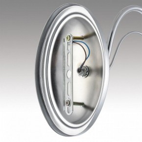 Бра Lumion INCANTO 8034/1W в Губахе - gubaha.ok-mebel.com | фото 7