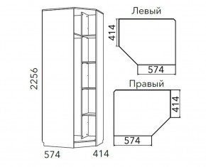 Детская Фанк Шкаф угловой Левый/Правый НМ 013.04-02 М в Губахе - gubaha.ok-mebel.com | фото 3