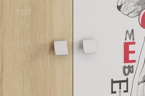 ЭНЕРДЖИ Шкаф 2-створчатый в Губахе - gubaha.ok-mebel.com | фото 4
