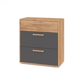 ФЛОРИДА Ф41 Комод (дуб золотой/графит) в Губахе - gubaha.ok-mebel.com | фото