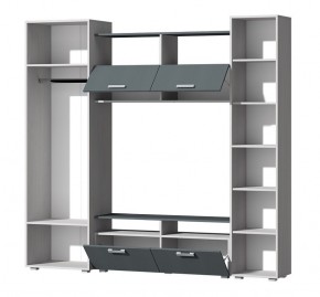 Гостиная Эмми (Анкор светлый/Графит) в Губахе - gubaha.ok-mebel.com | фото 3