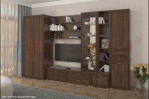 Гостиная Карина Композиция 11 (Акация Молдау) в Губахе - gubaha.ok-mebel.com | фото