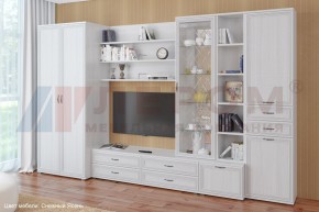Гостиная Карина Композиция 11 (Снежный ясень) в Губахе - gubaha.ok-mebel.com | фото