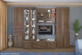 Гостиная Карина Композиция 14 (Акация Молдау) в Губахе - gubaha.ok-mebel.com | фото