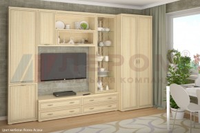 Гостиная Карина Композиция 16 (Ясень Асахи) в Губахе - gubaha.ok-mebel.com | фото