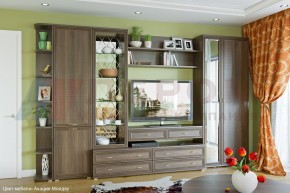 Гостиная Карина Композиция 20 (Акация Молдау) в Губахе - gubaha.ok-mebel.com | фото