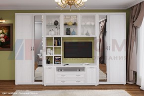 Гостиная Карина Композиция 6 (Снежный ясень) в Губахе - gubaha.ok-mebel.com | фото