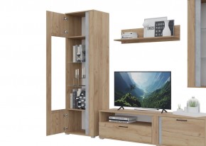 Гостиная Омега (Крафт золотой-Бетон) в Губахе - gubaha.ok-mebel.com | фото 5