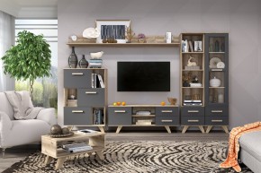 Гостиная Вега Скандинавия (комплект 6) в Губахе - gubaha.ok-mebel.com | фото 2