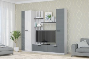 Гостиная Юджи (Анкор светлый/Графит) в Губахе - gubaha.ok-mebel.com | фото