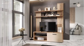 КАРОЛИНА Гостиная (дуб вотан/кашемир) в Губахе - gubaha.ok-mebel.com | фото