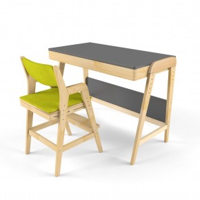 Комплект растущий стол и стул с чехлом 38 попугаев «Вуди» (Серый, Без покрытия, Грин) в Губахе - gubaha.ok-mebel.com | фото
