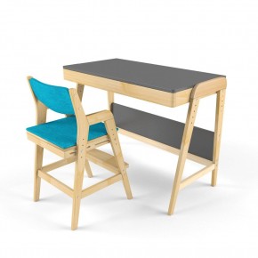 Комплект растущий стол и стул с чехлом 38 попугаев «Вуди» (Серый, Без покрытия, Лазурь) в Губахе - gubaha.ok-mebel.com | фото