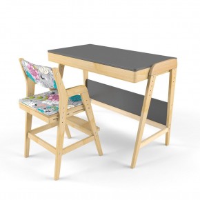 Комплект растущий стол и стул с чехлом 38 попугаев «Вуди» (Серый, Без покрытия, Мечта) в Губахе - gubaha.ok-mebel.com | фото
