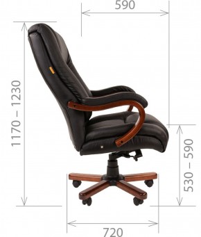Кресло для руководителя CHAIRMAN  503 (Кожа) Черное в Губахе - gubaha.ok-mebel.com | фото 5