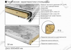 Кухонный фартук со столешницей (А-04) в едином стиле (3050 мм) в Губахе - gubaha.ok-mebel.com | фото 6