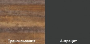 Кухонный гарнитур угловой Трансильвания 2600х1600 мм (Стол. 38 мм) в Губахе - gubaha.ok-mebel.com | фото 3