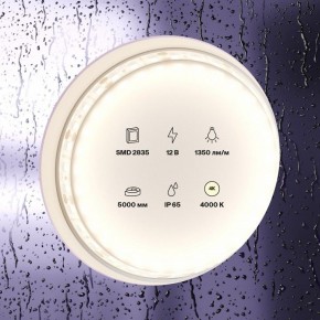 Лента светодиодная Maytoni Led strip 10118 в Губахе - gubaha.ok-mebel.com | фото 2