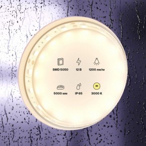 Лента светодиодная Maytoni Led strip 10131 в Губахе - gubaha.ok-mebel.com | фото 2