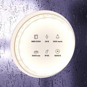 Лента светодиодная Maytoni Led strip 10172 в Губахе - gubaha.ok-mebel.com | фото 2
