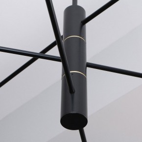Люстра на штанге Favourite Imma 4375-6P в Губахе - gubaha.ok-mebel.com | фото 2