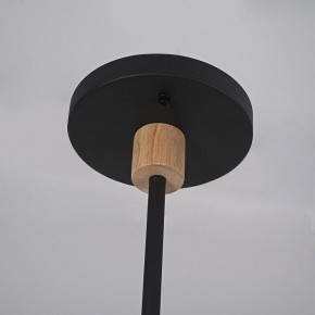 Люстра на штанге Imperiumloft TURNA Black TURNA-DBL01 в Губахе - gubaha.ok-mebel.com | фото 9