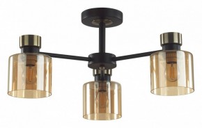 Люстра на штанге Lumion ARLIN 5643/3C в Губахе - gubaha.ok-mebel.com | фото