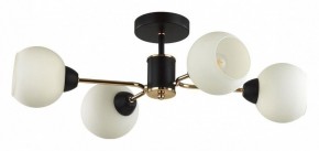 Люстра на штанге Lumion KODI 5646/4C в Губахе - gubaha.ok-mebel.com | фото