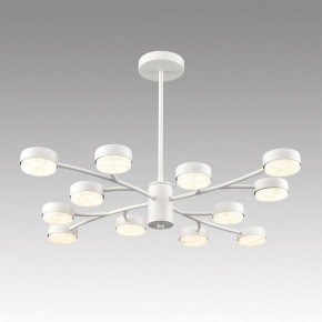 Люстра на штанге Lumion TORINA 8265/12 в Губахе - gubaha.ok-mebel.com | фото 3