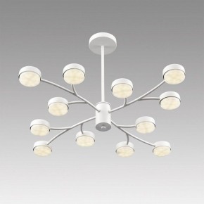 Люстра на штанге Lumion TORINA 8265/12 в Губахе - gubaha.ok-mebel.com | фото 5