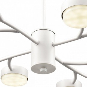 Люстра на штанге Lumion TORINA 8265/12 в Губахе - gubaha.ok-mebel.com | фото 8