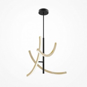 Люстра на штанге Maytoni Wabi MOD428PL-L27BK в Губахе - gubaha.ok-mebel.com | фото 5