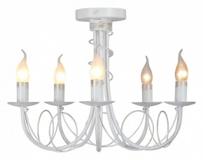 Люстра на штанге Vitaluce V3035 V3035-0/5PL в Губахе - gubaha.ok-mebel.com | фото 2