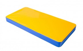 Мат гимнастический 1х0,5х0,08м цв. синий-желтый в Губахе - gubaha.ok-mebel.com | фото