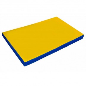 Мат гимнастический 2х1х0,05м цв. синий-желтый в Губахе - gubaha.ok-mebel.com | фото