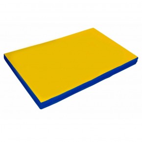 Мат гимнастический 2х1х0,08м цв. синий-желтый в Губахе - gubaha.ok-mebel.com | фото