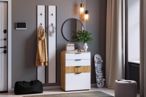 МЕБЕЛЬСОН К21 Прихожая (белое дерево) в Губахе - gubaha.ok-mebel.com | фото