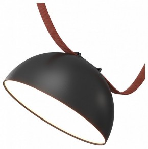 Накладной светильник Denkirs Belty Flow DK5660-BK в Губахе - gubaha.ok-mebel.com | фото