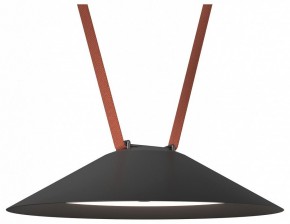 Накладной светильник Denkirs Belty Flow DK5664-BK в Губахе - gubaha.ok-mebel.com | фото